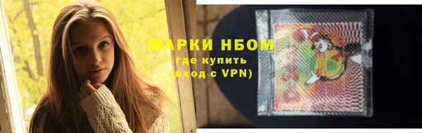 СК Алексин