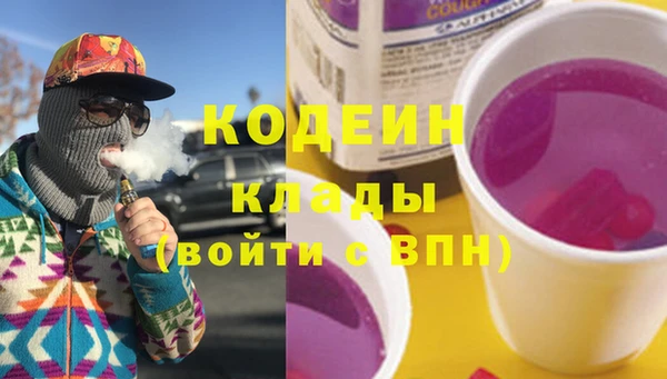 стаф Алзамай